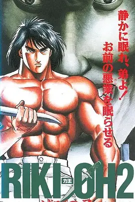 力王OVA2：毁灭之子封面图