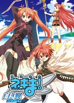 魔法老师！～白色之翼 ALA ALBA～封面图