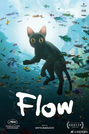 猫猫的奇幻漂流封面图